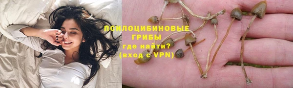 шишки Зерноград