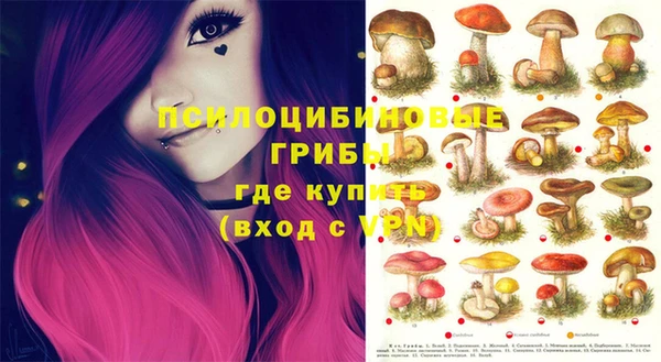 скорость Зеленокумск