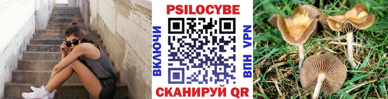 Купить  Усолье  Галлюциногенные грибы GOLDEN TEACHER 